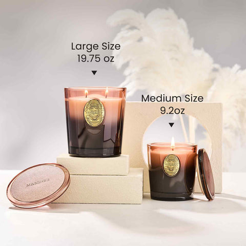M&SENSE Scented Candles Gifts for Women 560g Mahogany Sandalwood, 2-Wick Natural Soy Wax Large Candle 110H Long Burning, Aromatherapy Candle Gift for Men, Perfect Halloween Christmas Birthday Gifts