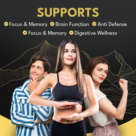 Supplmnt. 3000mg of Shilajit Gummies with 1500mg of Ashwagandha, Chaga Mushroom, Ginger, Turmeric, Black Seed Oil, Ginseng, Vitamins C, B12, D, Zinc, Ceylon Cinnamon, 60 Gummies (1 Pack)