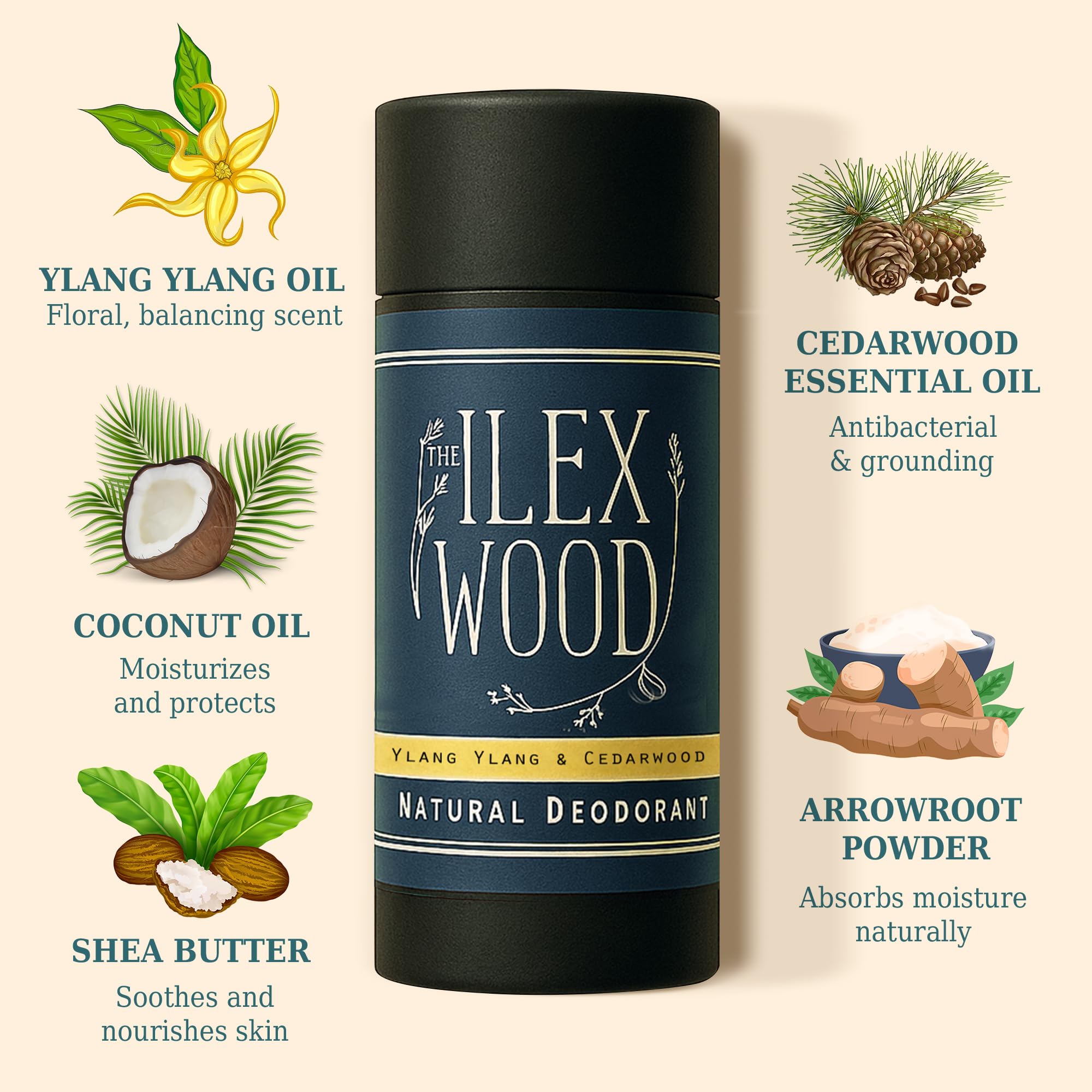 The Ilex Wood - Ylang Ylang & Cedarwood Natural Deodorant - 70ml. Natural Deo in Eco Friendly Cardboard Tube, Vegan, no Plastic, no Alcohol, no Toxins, no Aluminium Salt & Cruelty Free for Women & Men