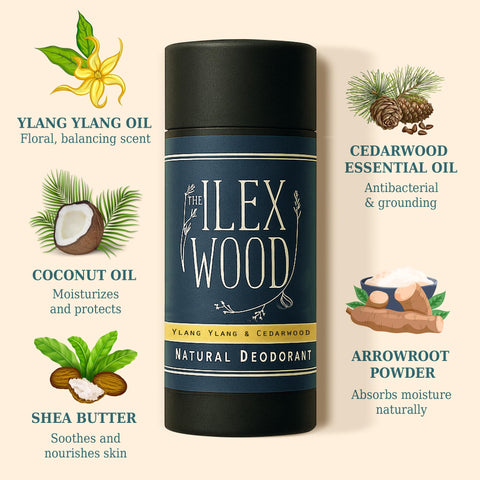 The Ilex Wood - Ylang Ylang & Cedarwood Natural Deodorant - 70ml. Natural Deo in Eco Friendly Cardboard Tube, Vegan, no Plastic, no Alcohol, no Toxins, no Aluminium Salt & Cruelty Free for Women & Men
